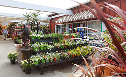 garden center